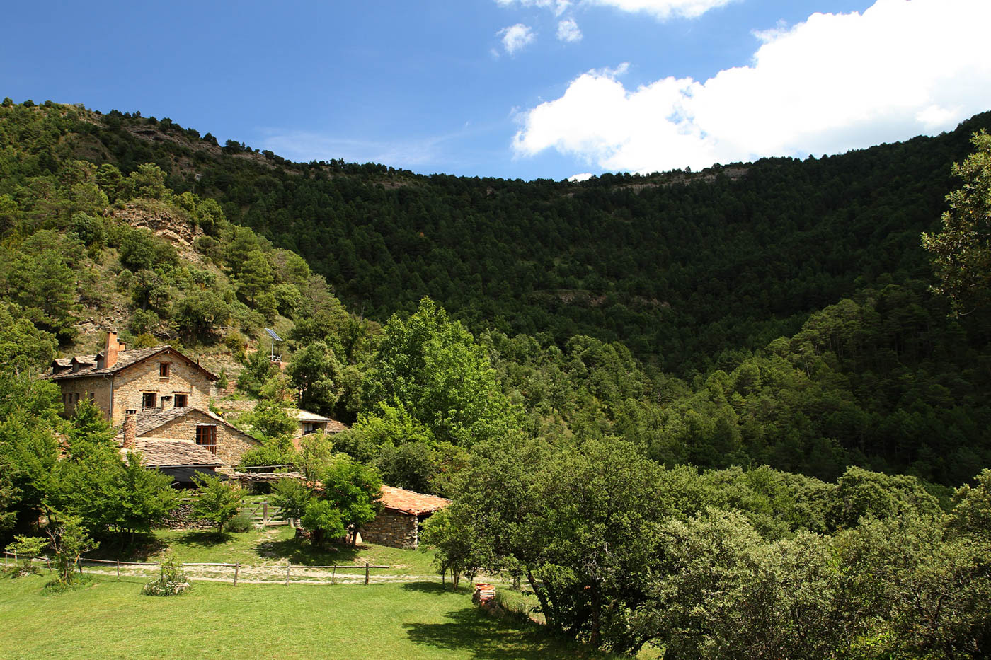 A wooded secluded location